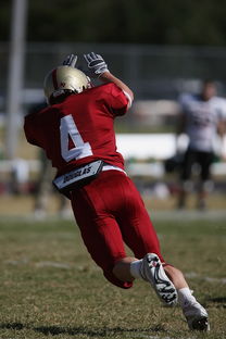 开云体育下载-五大联赛的魅力：不同国家球队的差异化风格，5大联赛球队综合实力排名