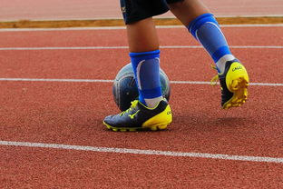 开云体育在线下载-篮球运动员心理健康支持体系构建，篮球运动员心理健康支持体系构建方案